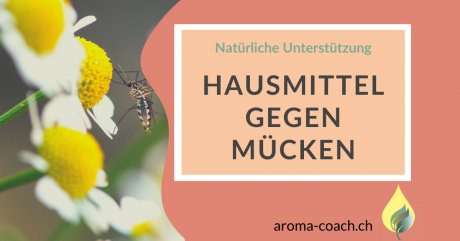 Hausmittel gegen Mücken